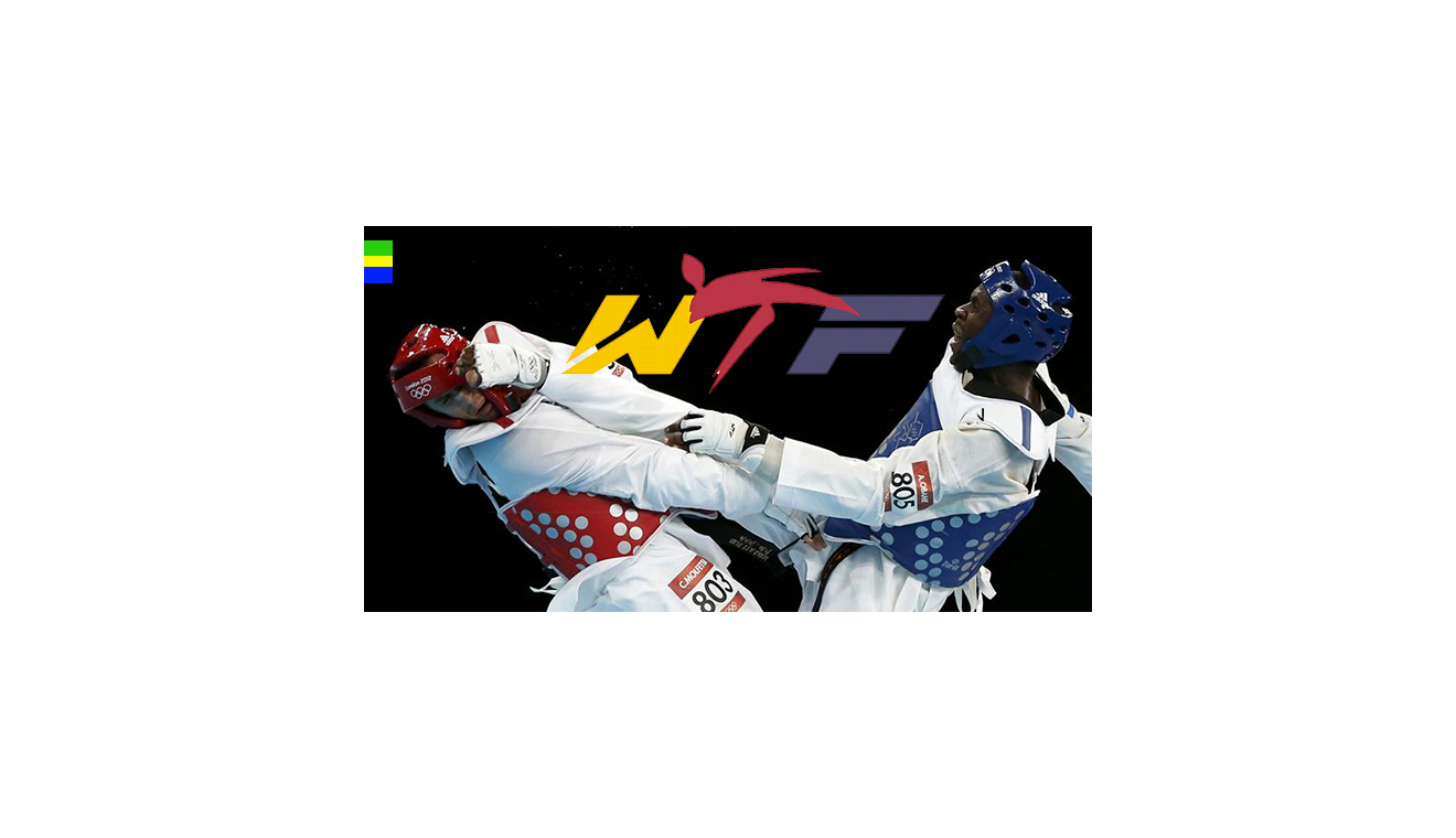 Mondial 2013 de Taekwondo : le Gabon retenu pour abriter la compétition ?