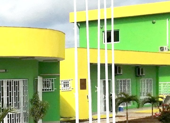 Panthères du Gabon : Plus de 600 candidatures enregistrées pour l'après Mouyouma
