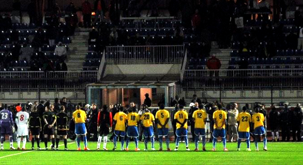 L'été international des Panthères du Gabon