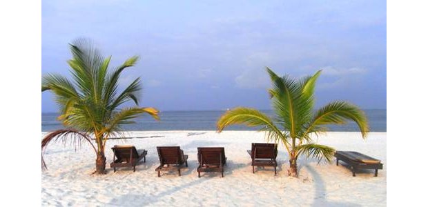 Les Panthères s'offrent un bain de soleil au lendemain de leur qualification