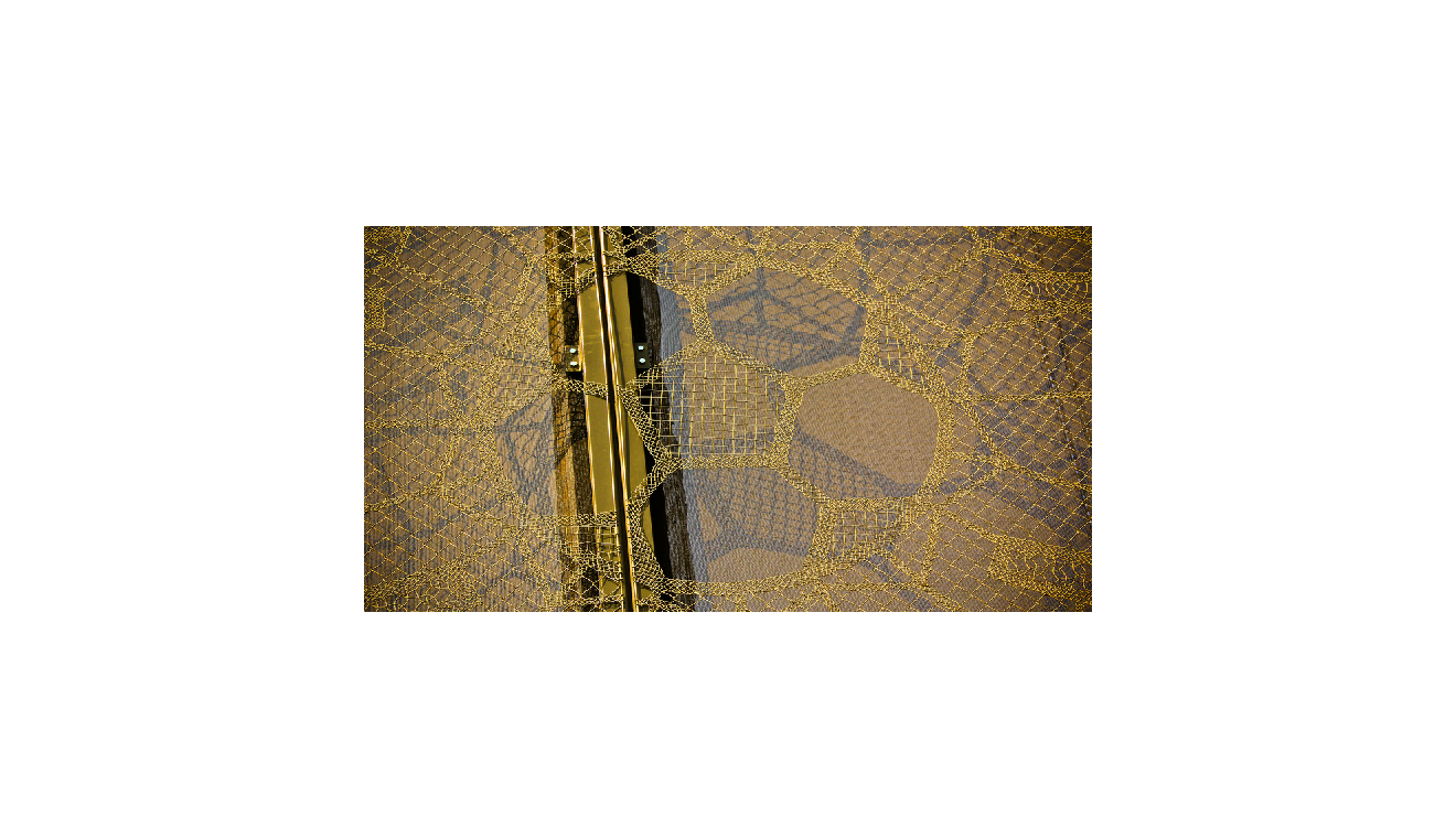 Le COCAN publie son rapport